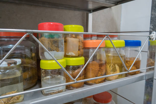 Conteneur alimentaire hermétique