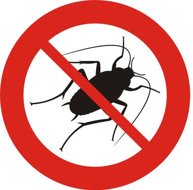 La Désinsectisation