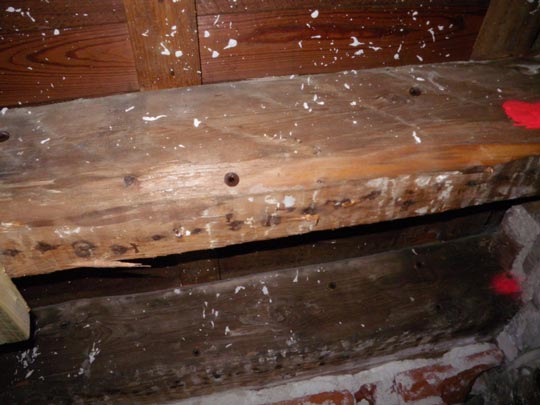 Inspection par un expert