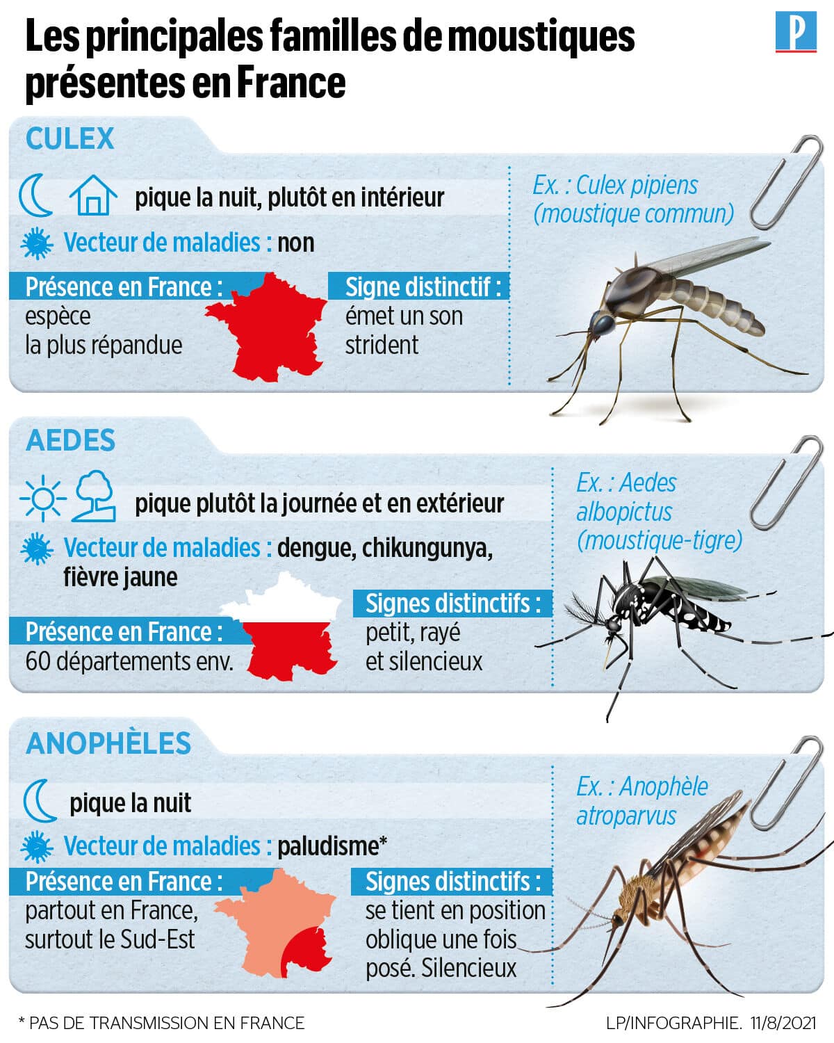Infographie sur les maladies transmises par les insectes