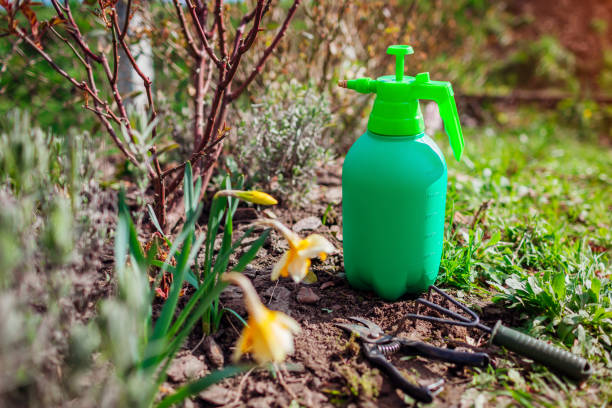 Traitement écologique