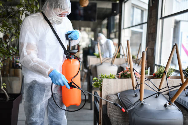 Traitement écologique